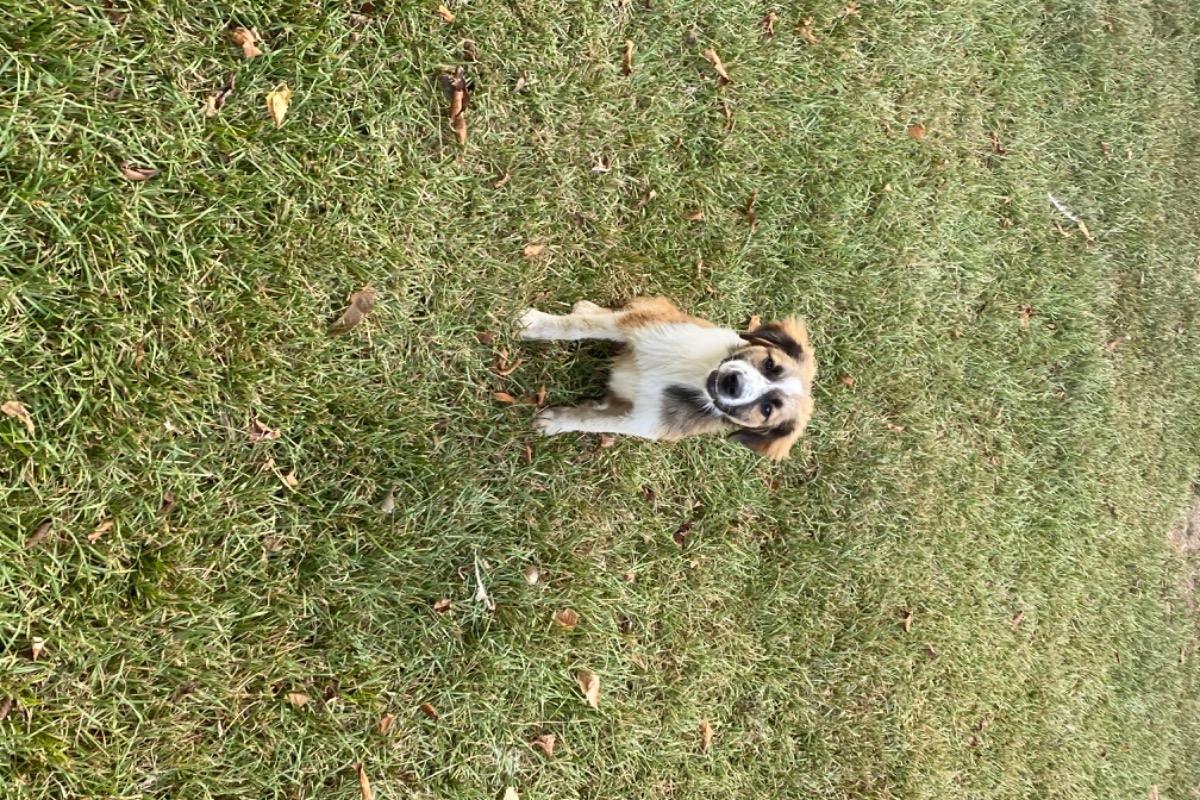 51785372_160225000640413_r.jpeg