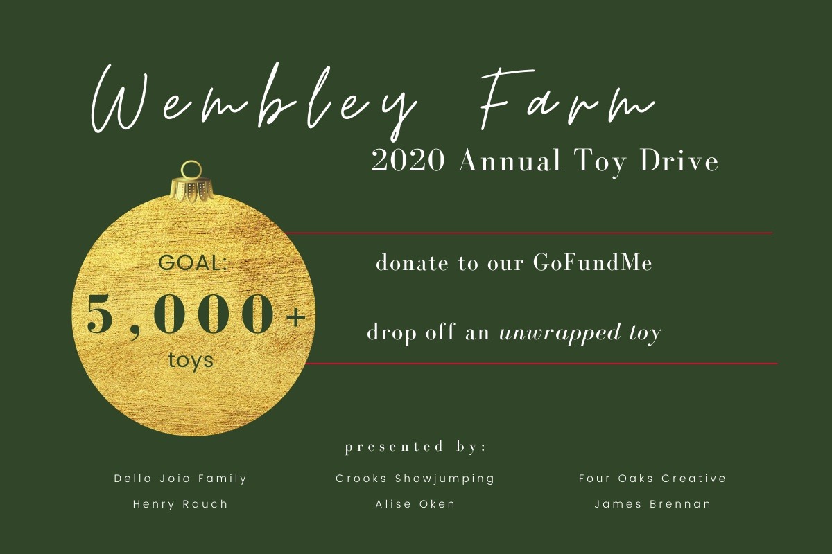 Fundraiser by Sean Crooks Wembley Farm 2020 Holiday Toy Drive