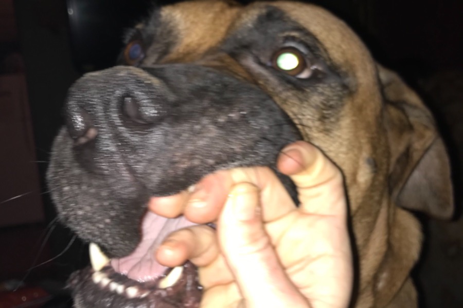 51873014_1602614927802903_r.jpeg