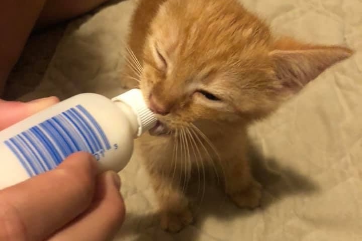 51875592_1602620370436814_r.jpeg