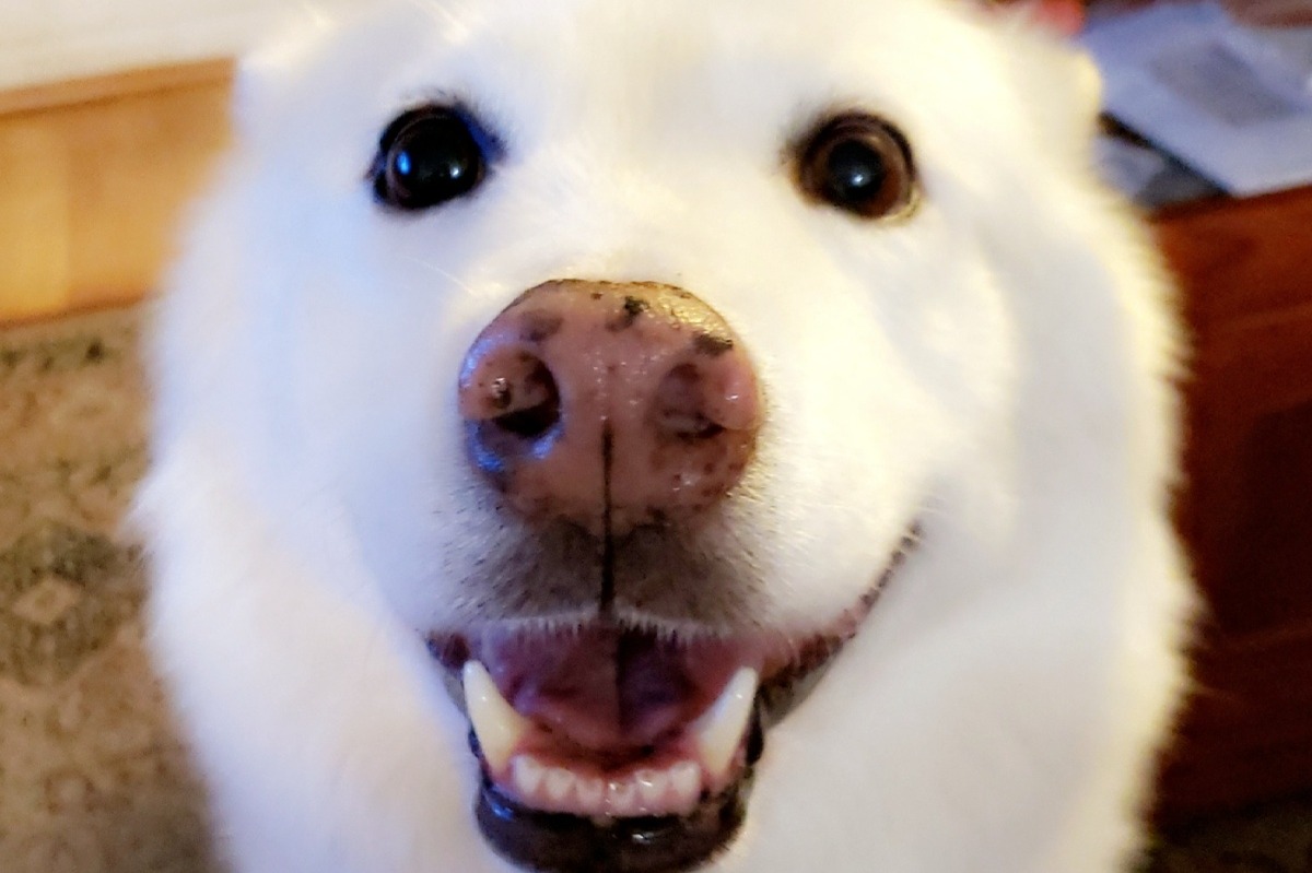 51934404_1602835431709919_r.jpeg
