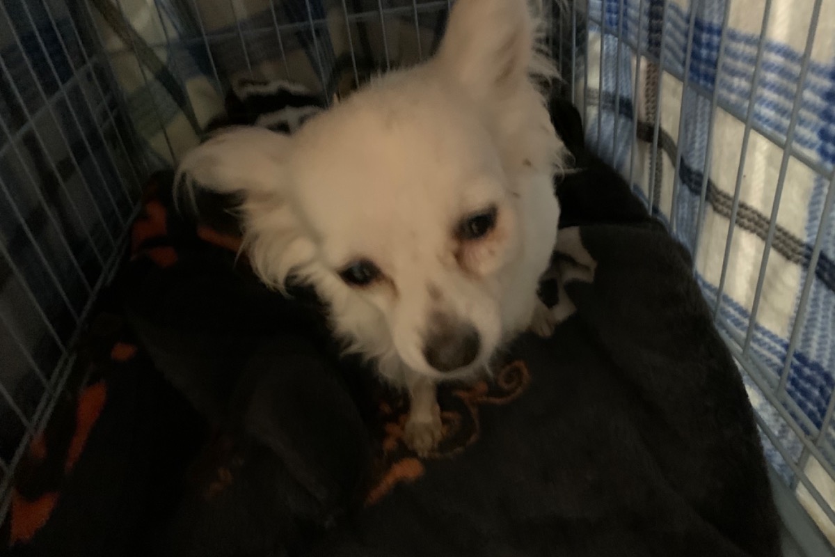 51962858_1602969769213279_r.jpeg