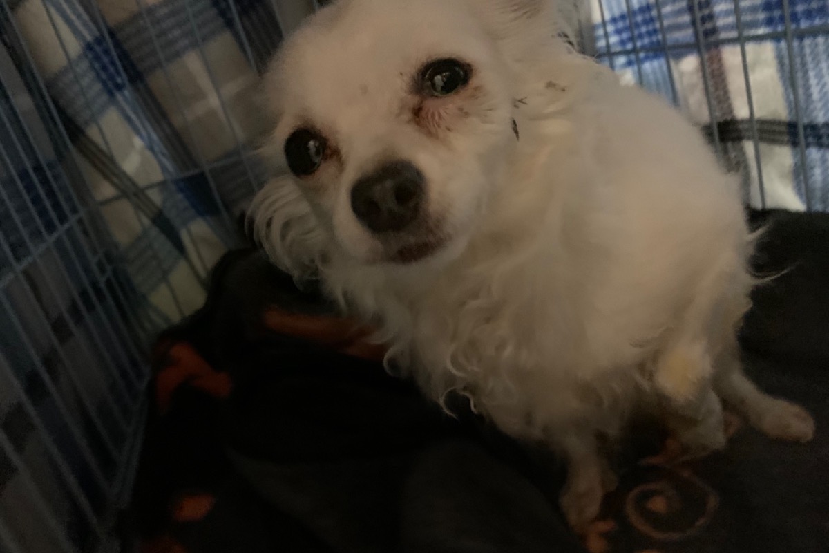 51962858_1602969873883093_r.jpeg
