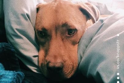 51998376_1603127794585928_r.jpeg