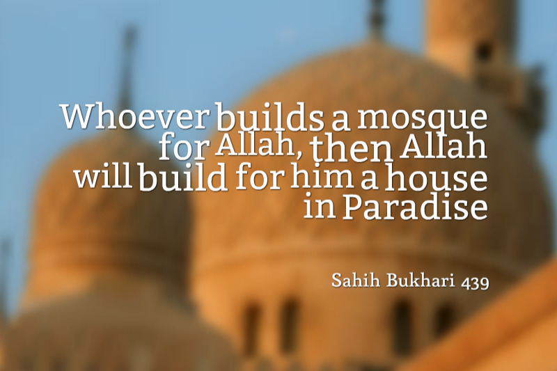 Fundraiser by Mohtasim Siddiqui Building a mosque