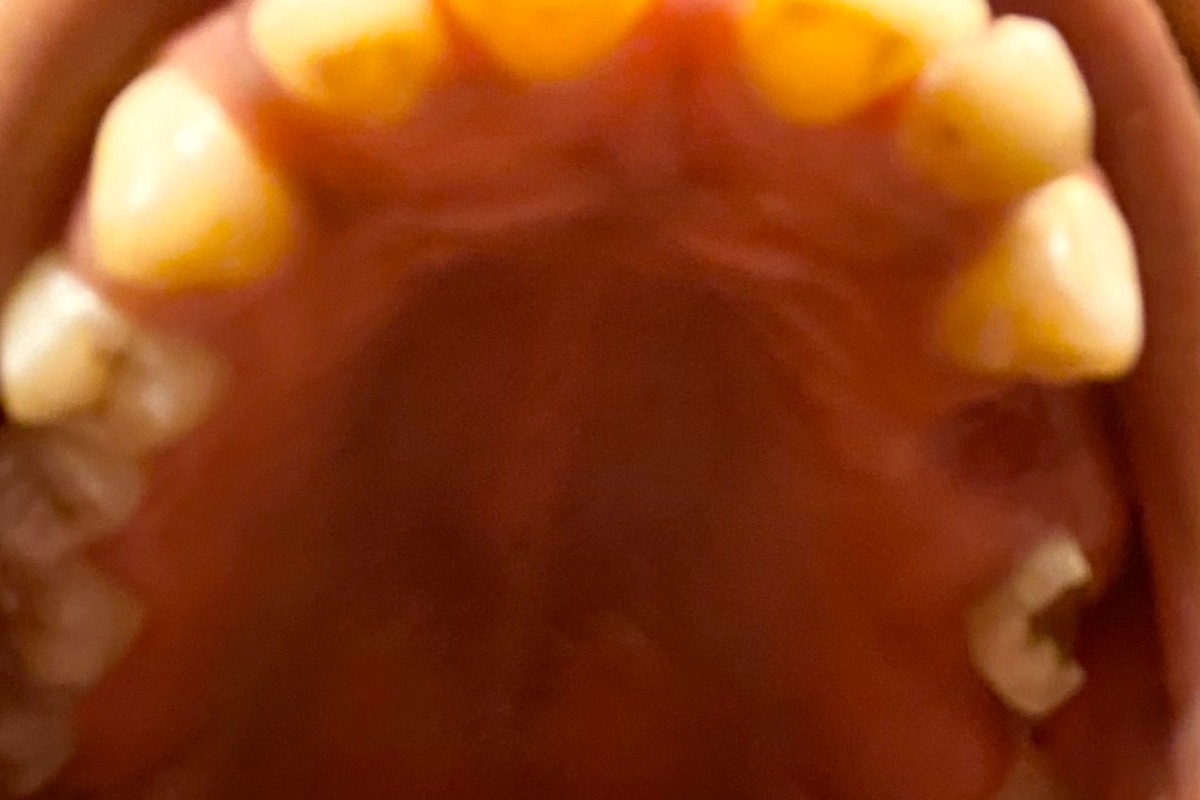 52163906_1603761630196968_r.jpeg