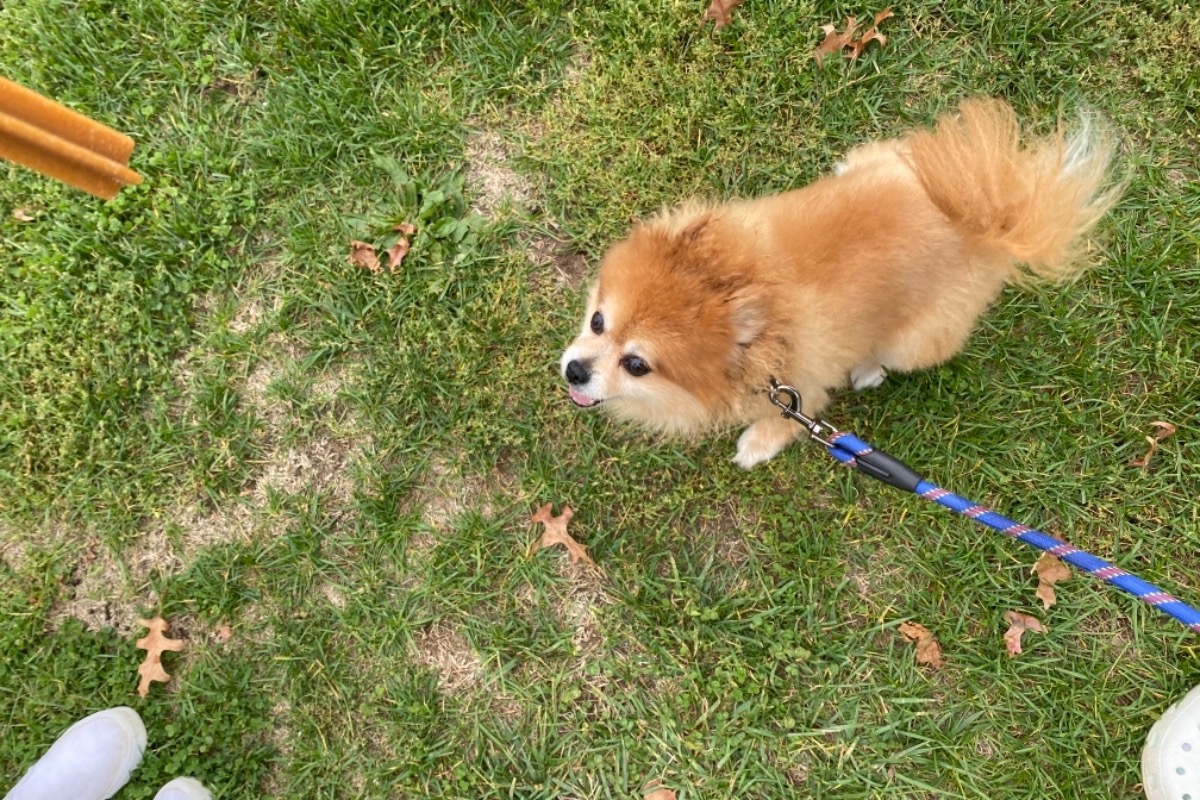 52200184_1603906179493597_r.jpeg