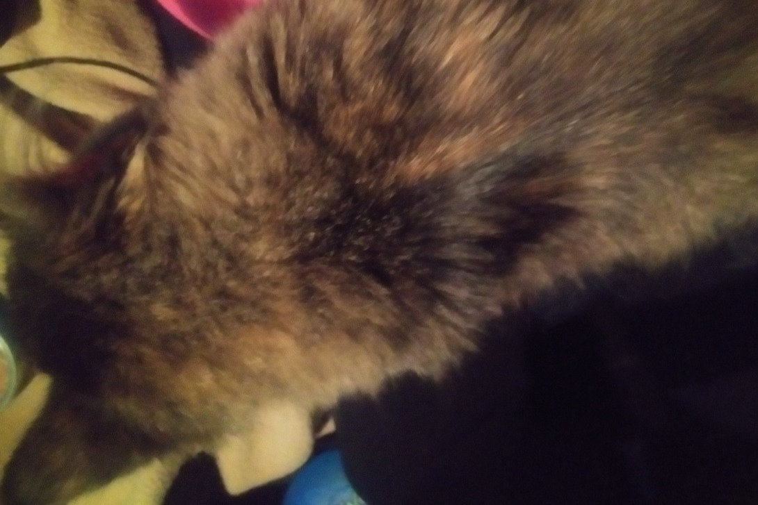 52290224_1604291637778747_r.jpeg