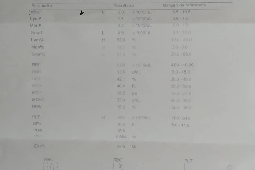 52472104_1604987344662942_r.jpeg
