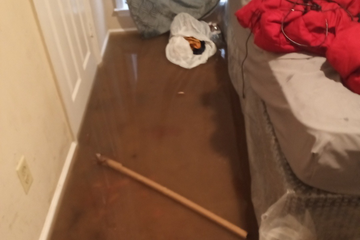 52506506_1605116017624904_r.jpeg