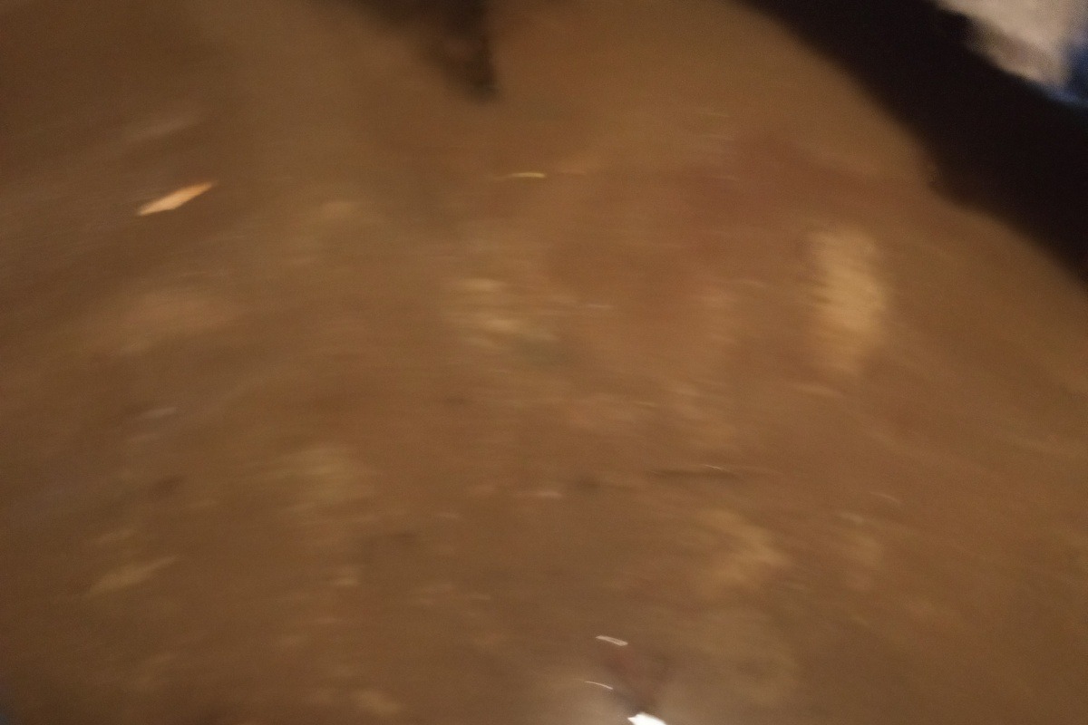 52506506_1605116043971687_r.jpeg