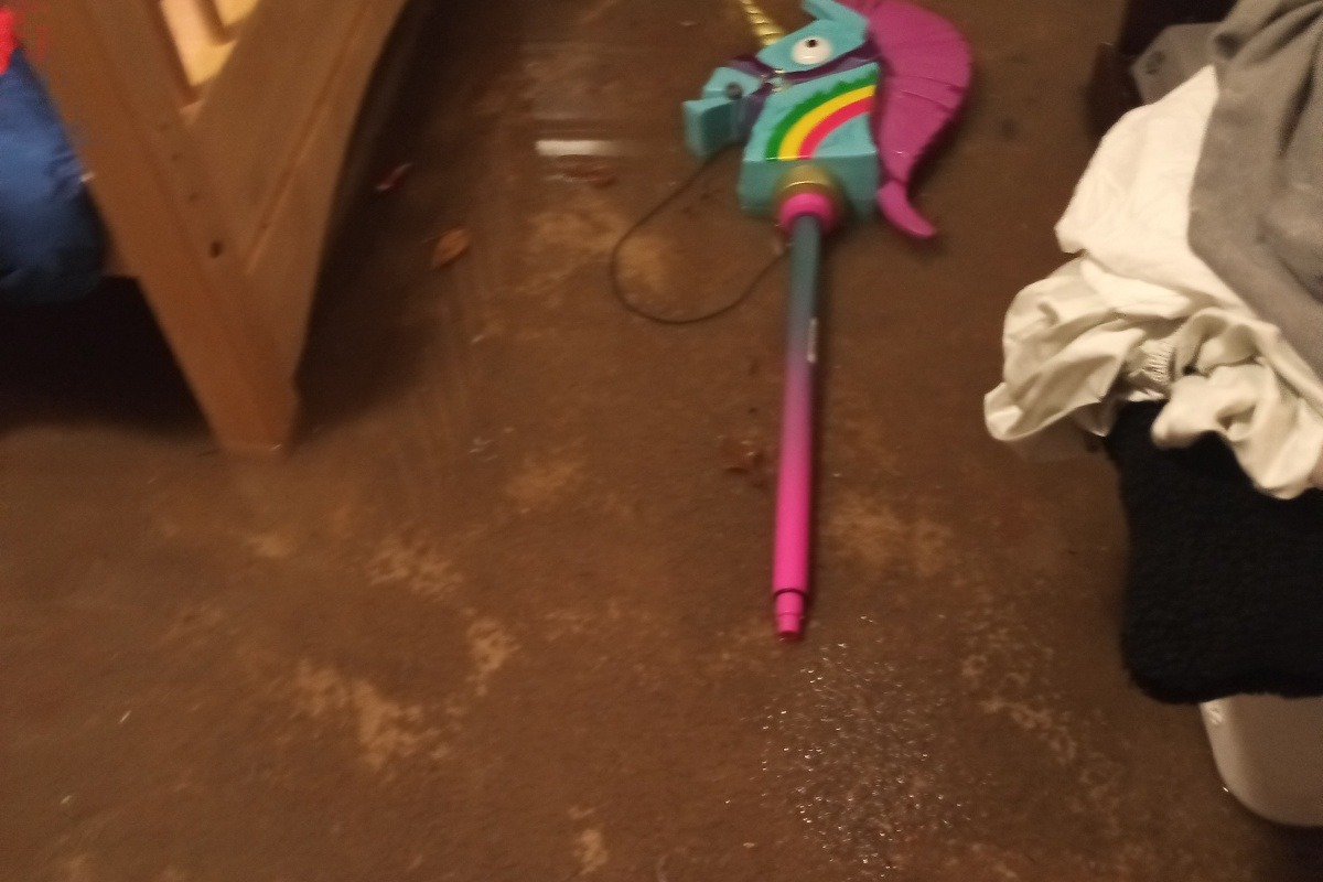 52506506_1605116055550686_r.jpeg