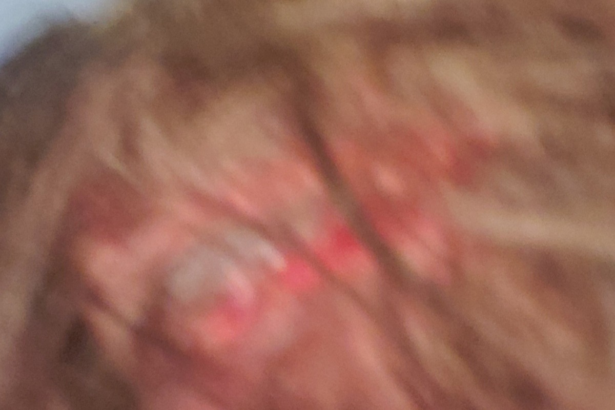 52588786_1605405430413856_r.jpeg