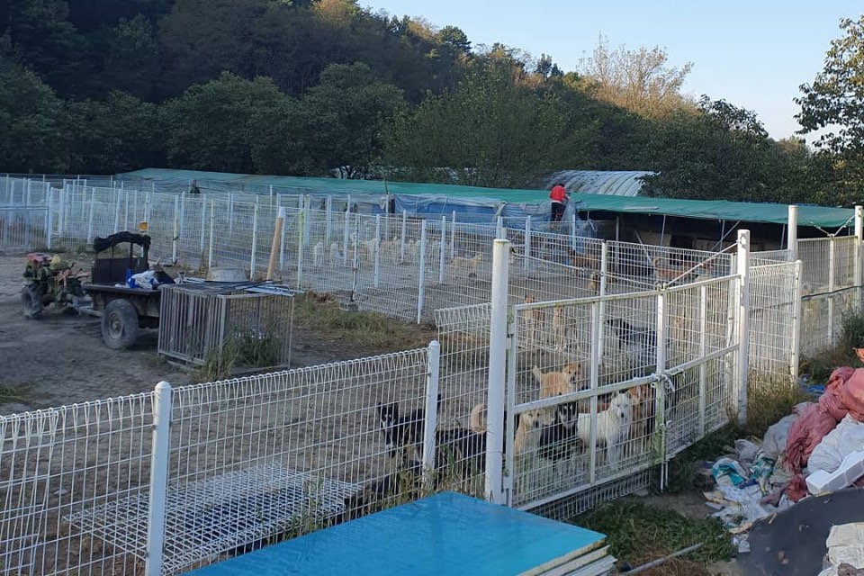 Fundraiser by 조유정 Zion Shelter