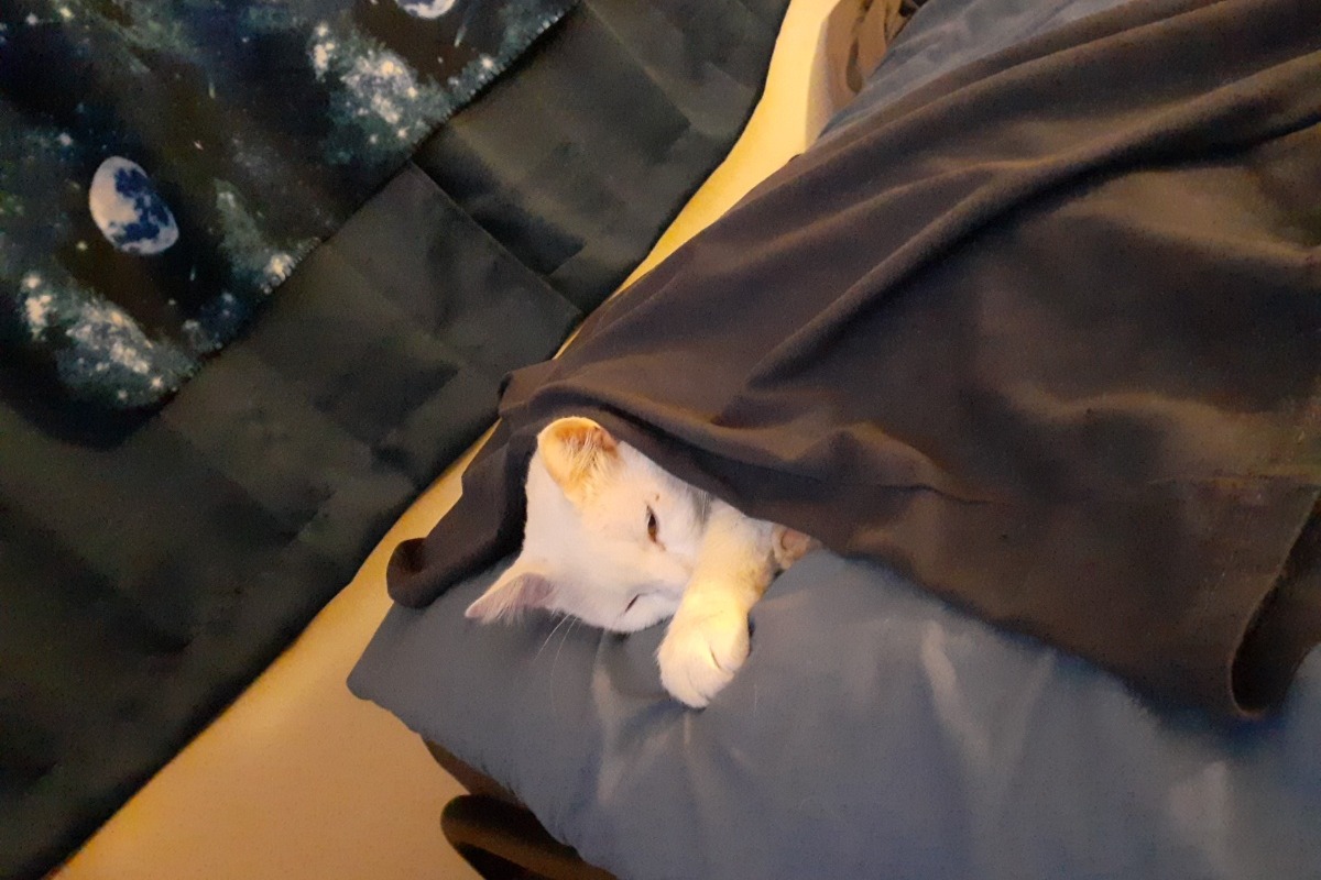 52659444_1605660672909249_r.jpeg