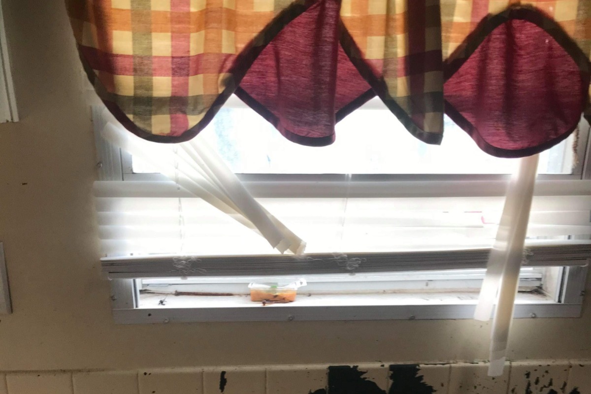 52665398_1605903323565134_r.jpeg