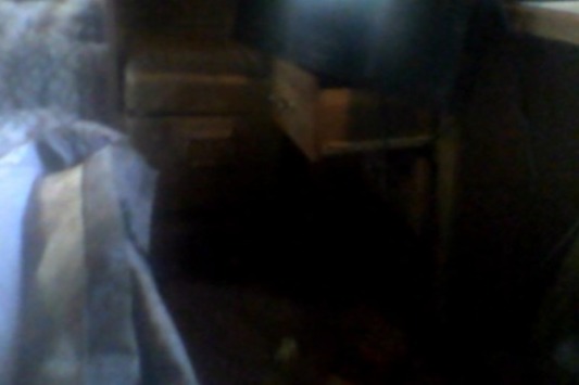 52694388_1605791876125463_r.jpeg