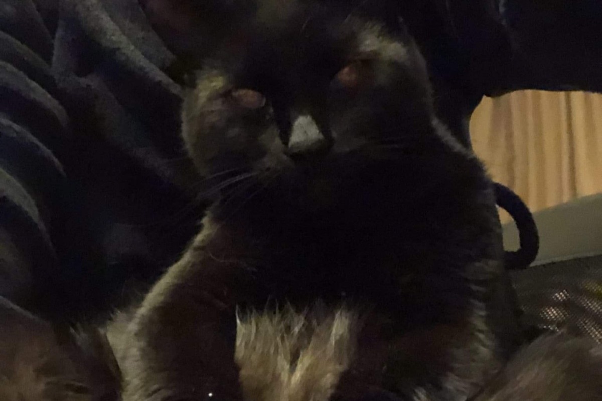 52755684_1606011745890974_r.jpeg