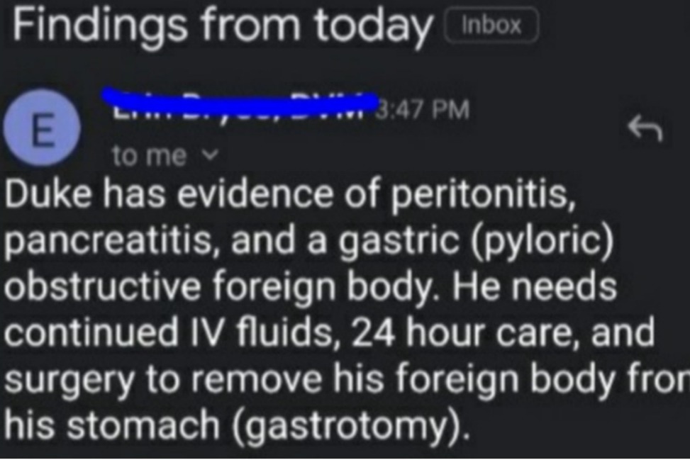 52816952_1606250149732631_r.jpeg