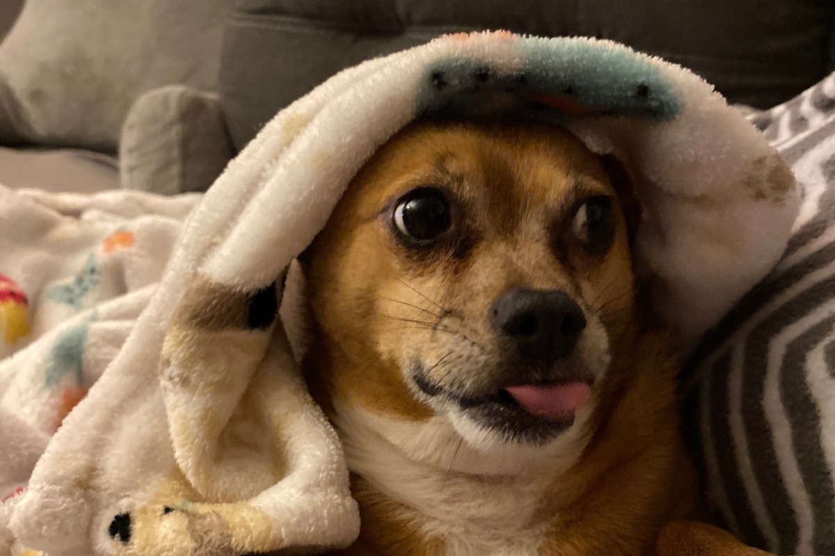 52817712_1606247570913813_r.jpeg