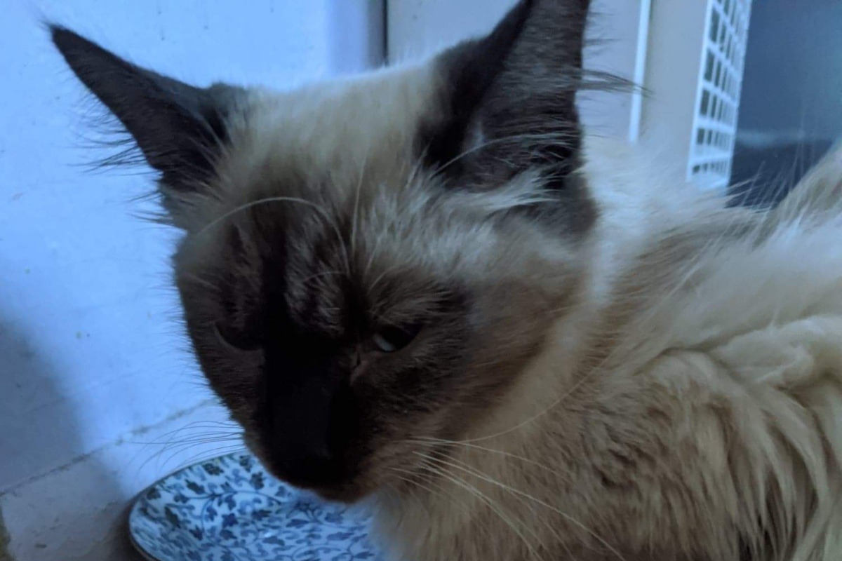 53176478_1607565447280358_r.jpeg