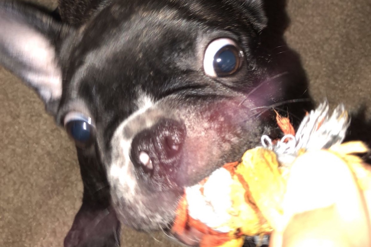 53228240_1607735628672225_r.jpeg