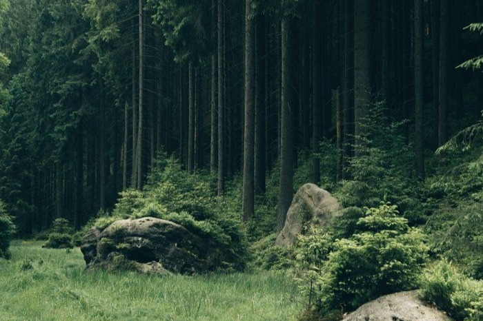 Soraya Medina Legacy Fund photo