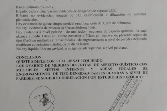 53536266_1608996651456641_r.jpeg