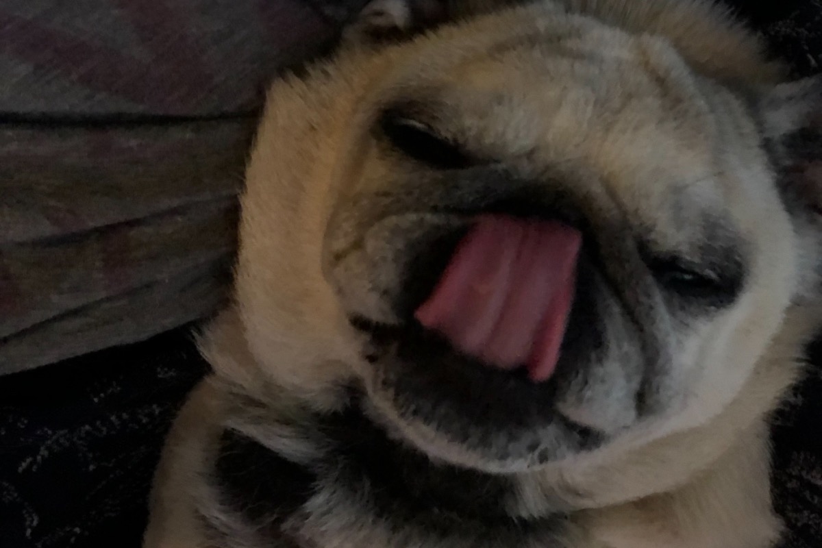 53667000_1609579211113837_r.jpeg