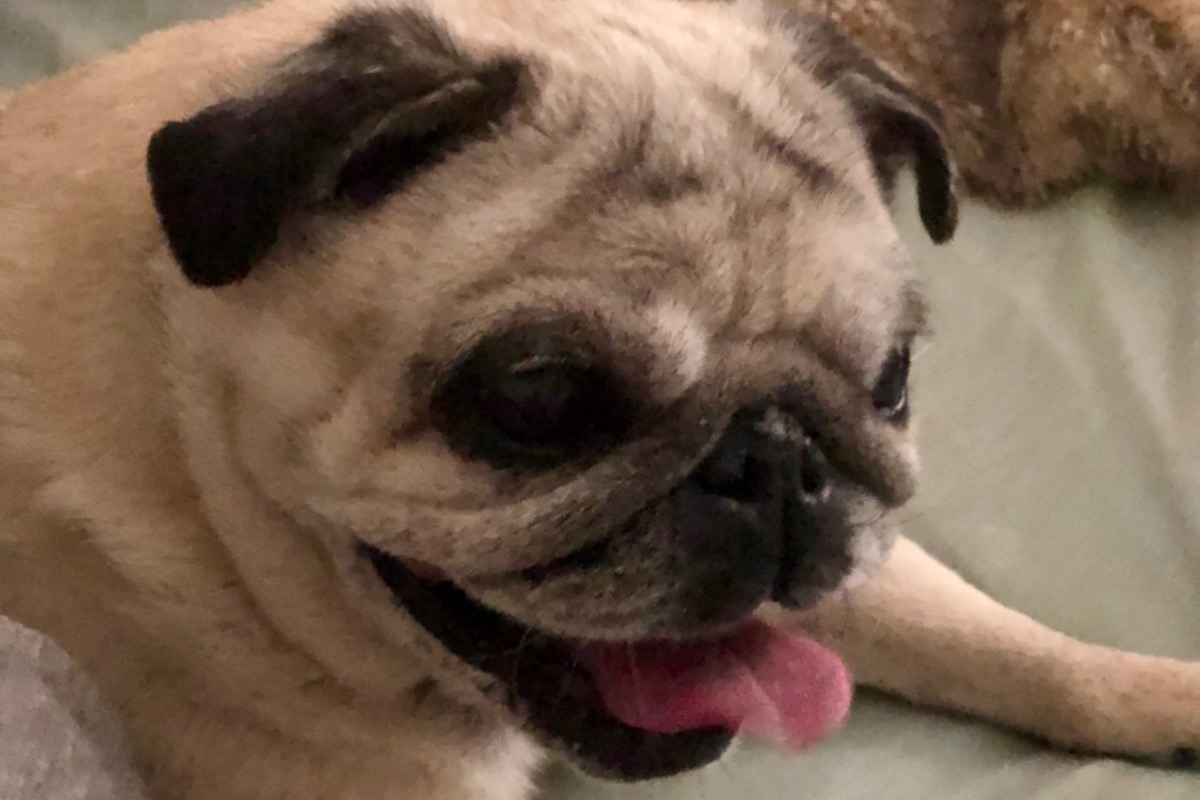 53667000_1609579234473703_r.jpeg