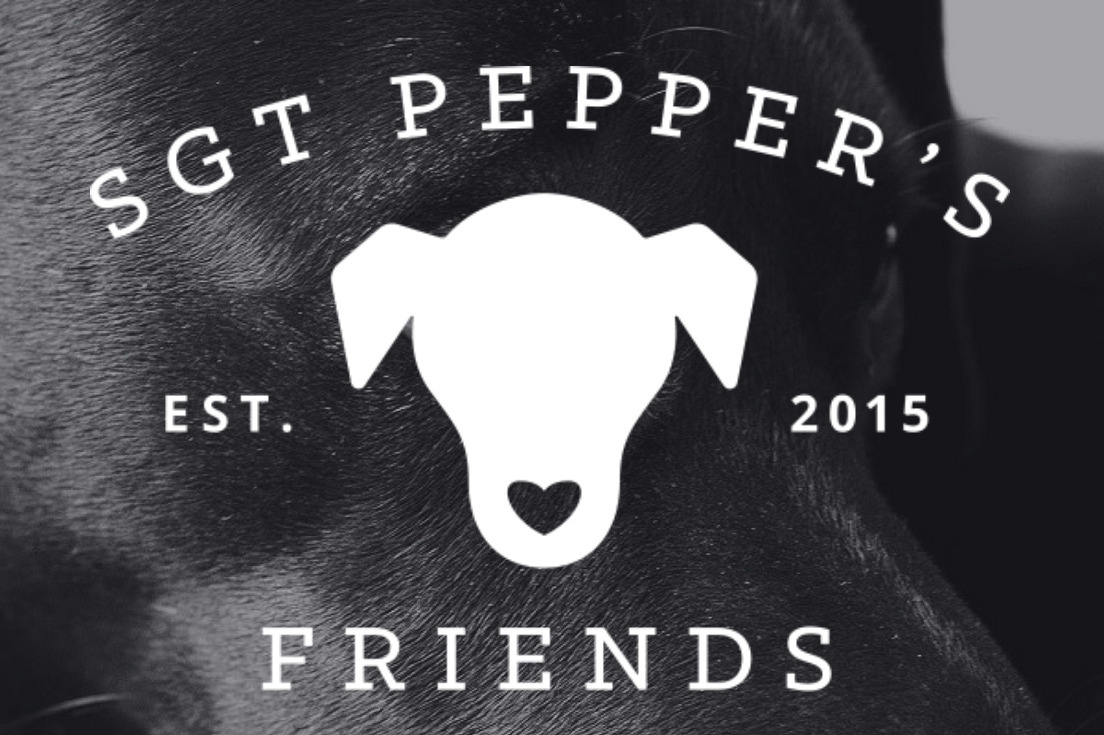Fundraiser by Mark Darragh Half Marathon Sgt Peppers Friends Animal