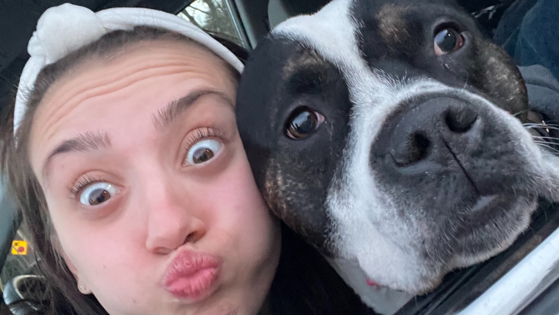 Raising money for Pluto and his vet bills photo