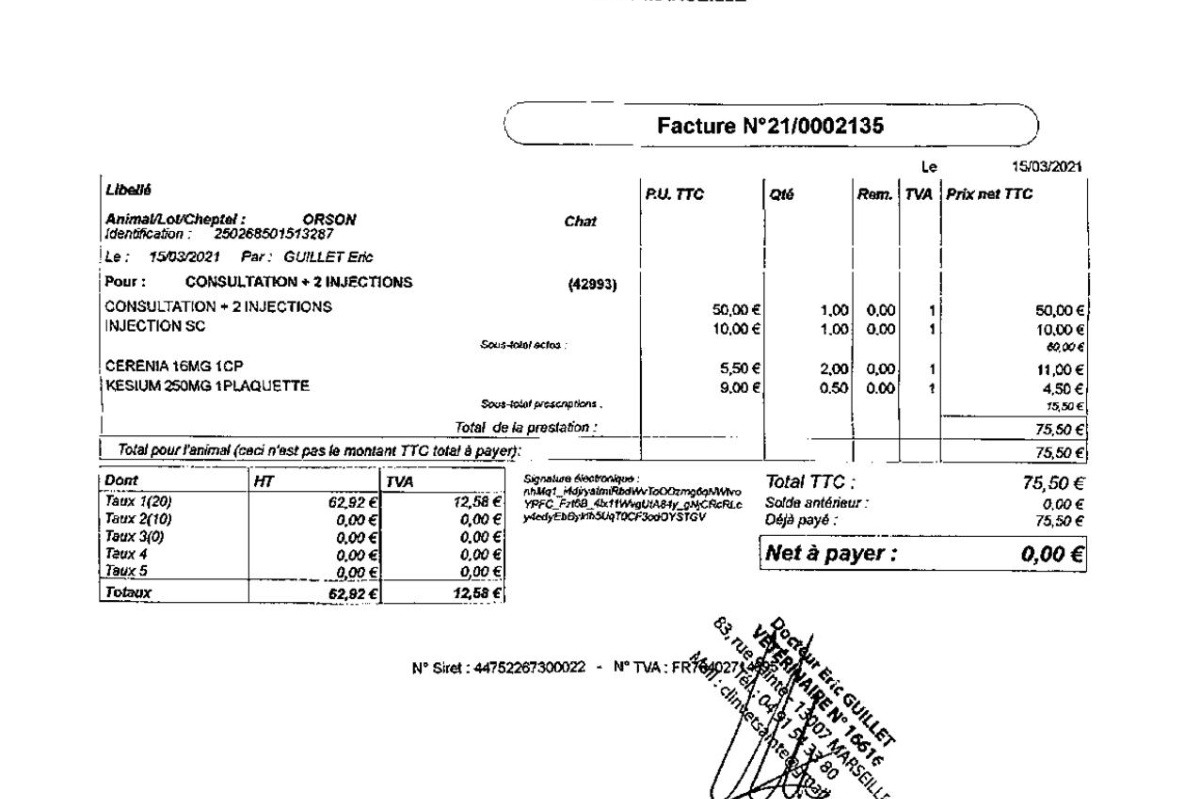 Fundraiser By Julie Tinetti Support For Orson The French Coonies