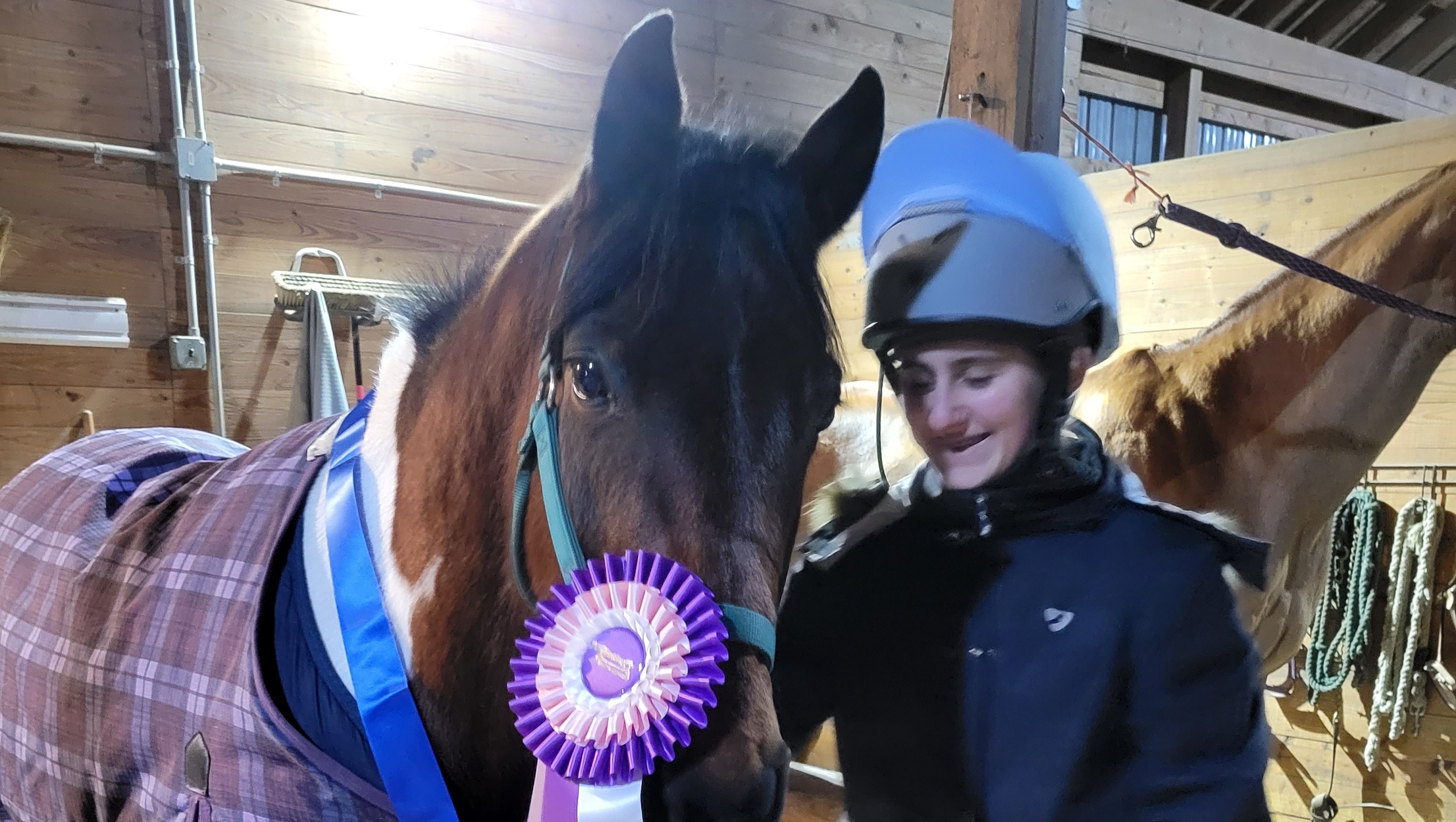 Merrick Daisy Fundraiser by Jenn Merrick-Brooks : Daisy, our wonderful school pony ...
