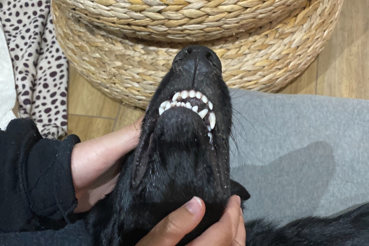 55778210_1617406939567275_r.jpeg