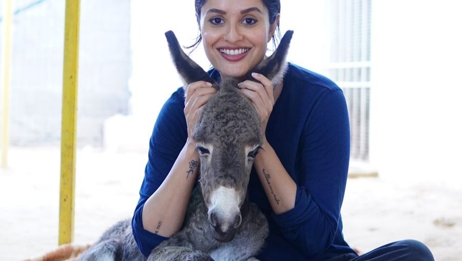 From 4 to Saving Thousand's  - Let’s Finish What We Started! photo