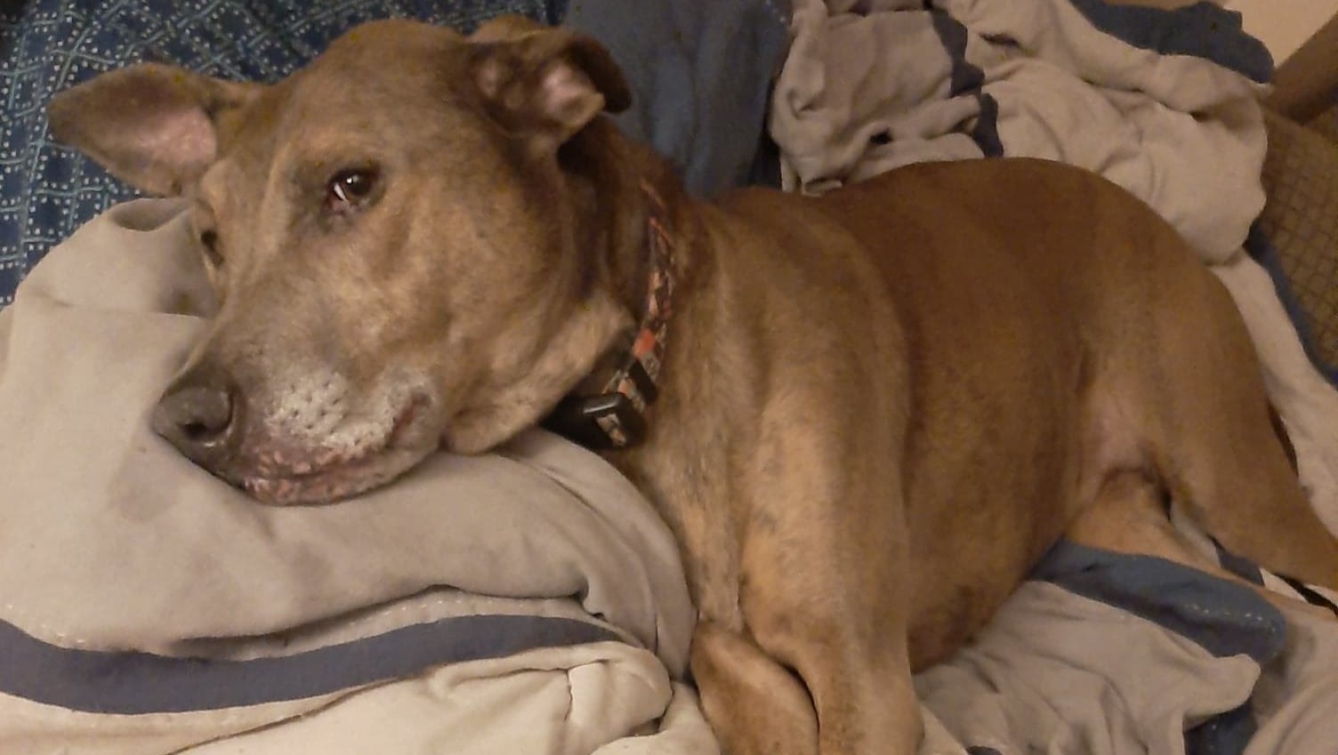 Heck Cancer: Chemotherapy for Juneau photo