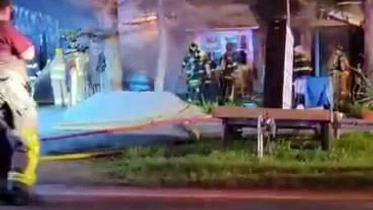 Christine m shea thesis picture