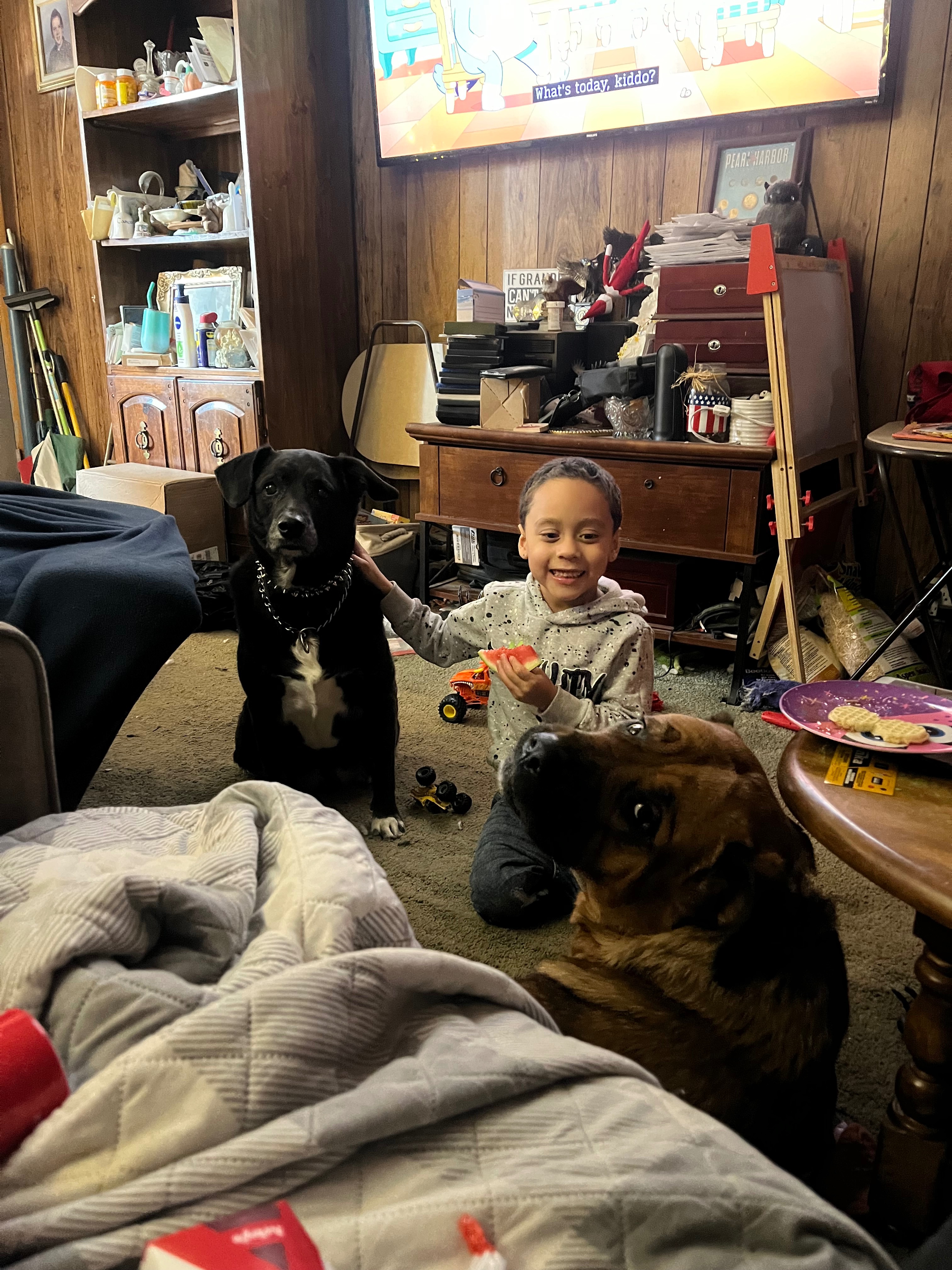 ShaLynn Schanenberger Help save our fur babies gofundme donation