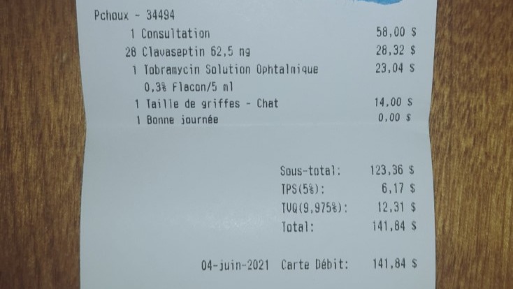 Fundraiser By Nicole Seney Je Demande Votre Aide Pour Sauver Mon Chat D Amour