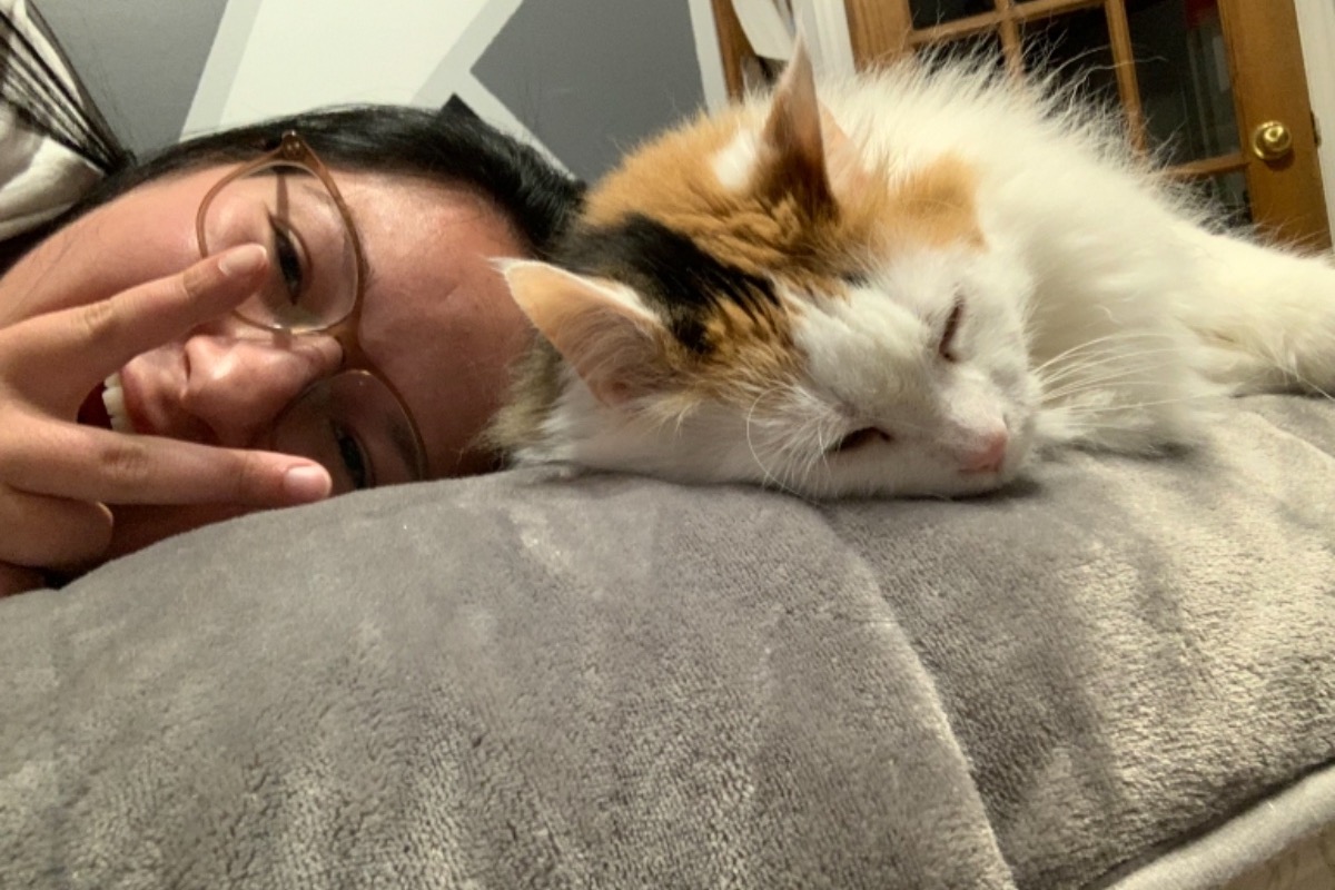 Fundraiser By Charlie Labelle Help Princess And Michel Get Better