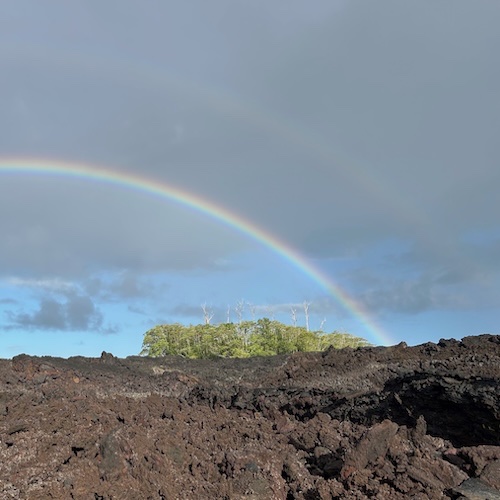 Hedonisia Hawaii Lava to Lotus Crowdfund campaign photo, 5 of 8