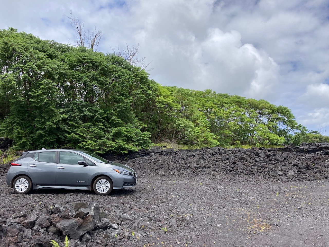 Hedonisia Hawaii Lava to Lotus Crowdfund campaign photo, 6 of 8