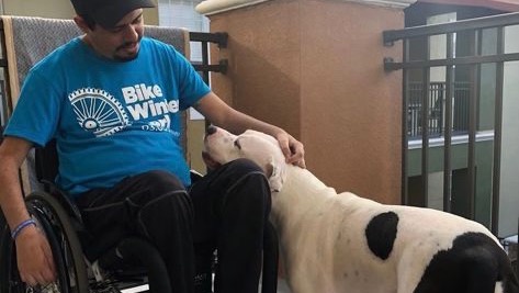 Help our friend Leo get a new wheel chair photo
