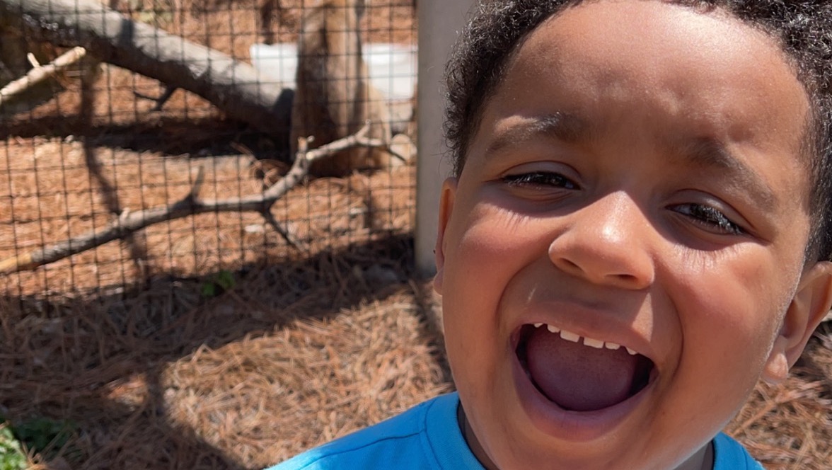 Fundraiser by Brya Le�Shea 4 year old hit by van