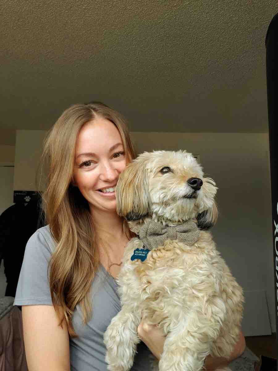 Vet Bills for Tea’s Injuries photo