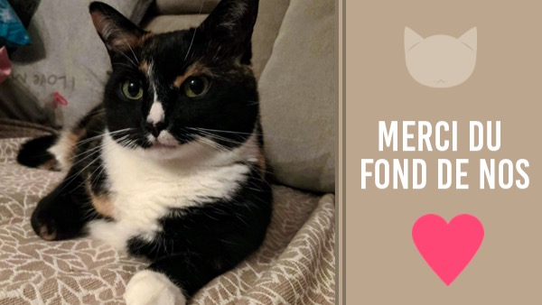 Fundraiser By Fla Vie Dons Pour Aider Hachiko