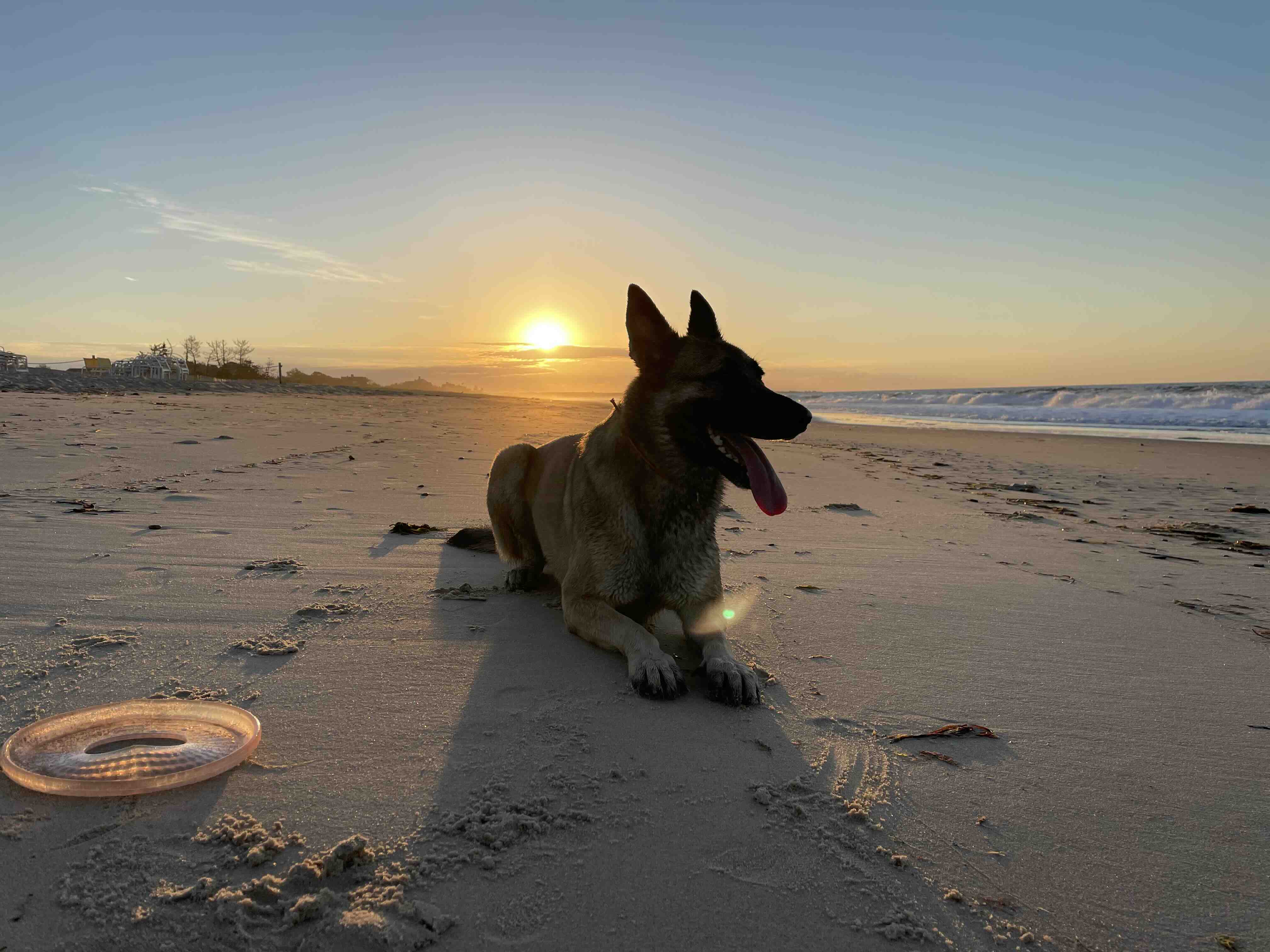 EZRA’s Extra-articular sutures !! photo