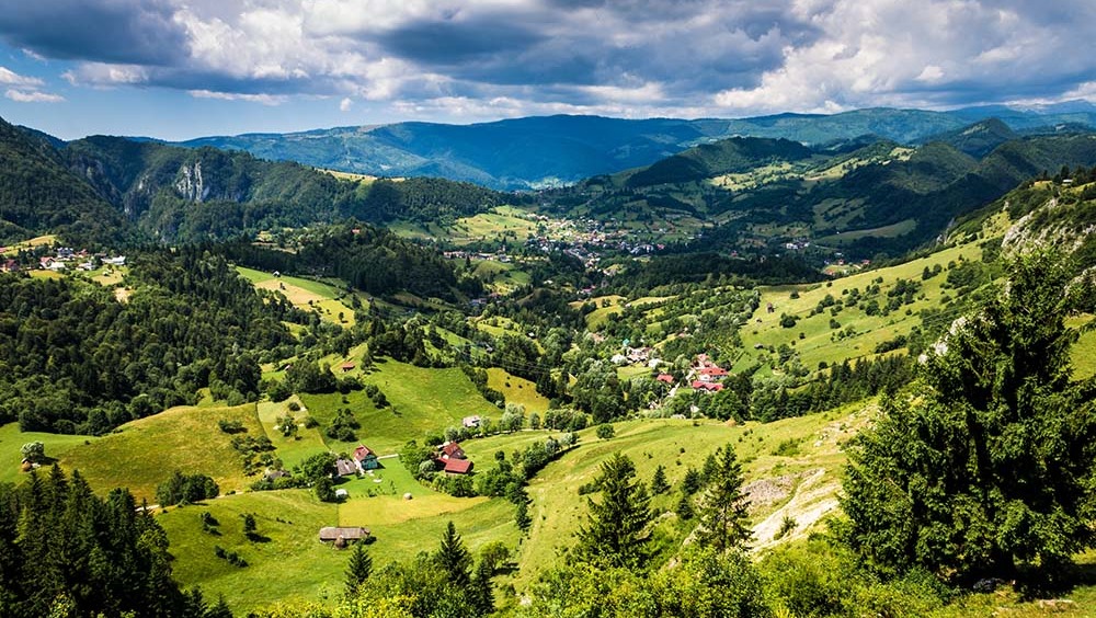  Help Us Build a Nature Retreat That Heals, Empowers photo