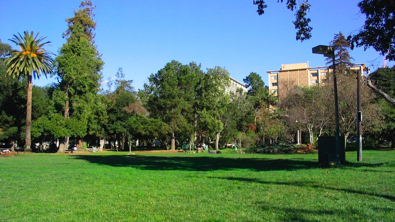 Help Save People's Park photo